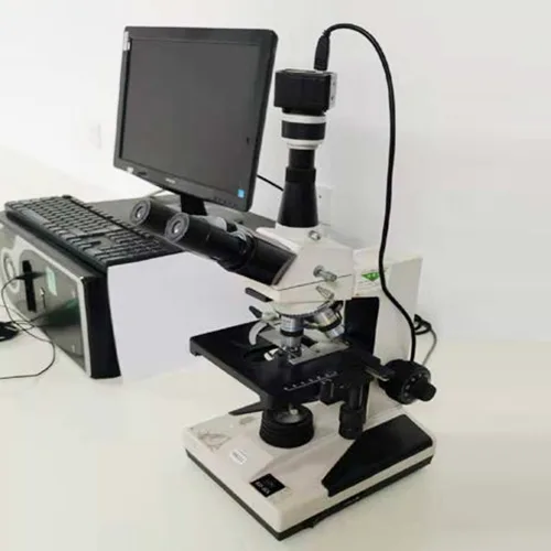 Electron Microscope